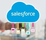 Salesforce Services